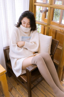 秘密女搜查官系列